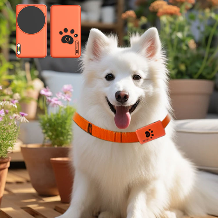 AI Wearable Pet Health Monitor - Breath Rate Monitor recension och pris
